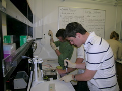 Combiz and Eric Learning to Micropipet