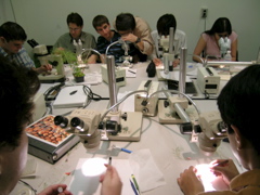 Students Disecting Siliques and Seeds