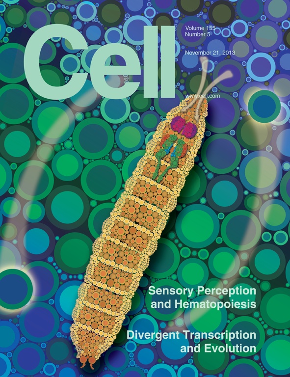 Cell, volume 155, issue 5