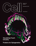 Cell, volume 147, issue 7