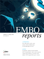 EMBO reports, volume 13, number 1