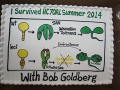 A thematically-appropriate cake to celebrate the close of HC70AL Summer 2014!
