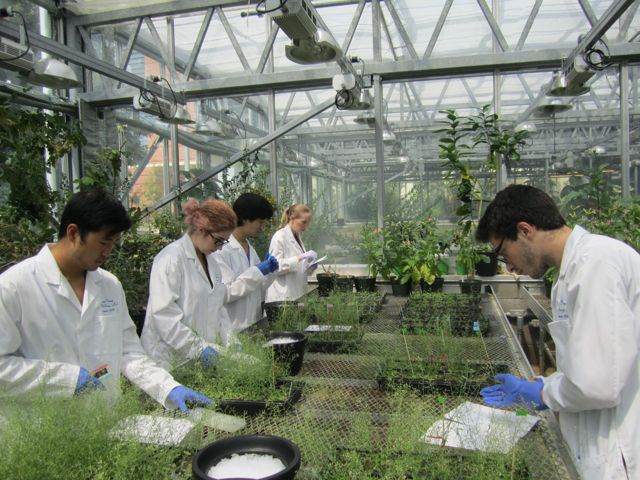 The students get to work in the greenhouse.