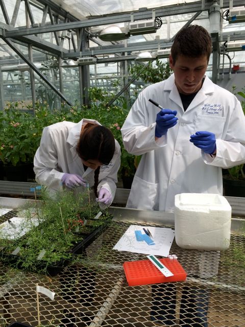 Jazmin examins her plants.