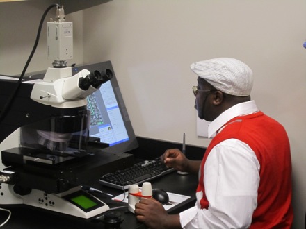 Sonni at the microscope bench.