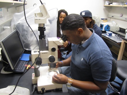 Antonio looking at his specimen under the microscope.