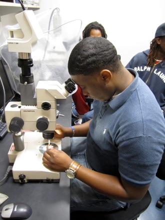 Antonio cutting his seed sample.