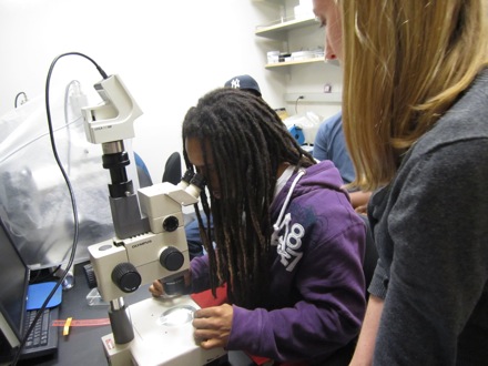 Eze takes his turn on the microscope.