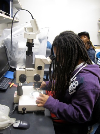 Eze dissects his seed sample.