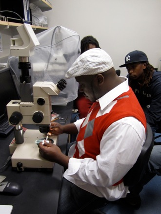 Sonni dissects his seed sample.