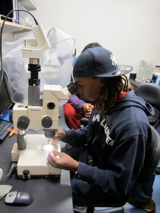 Oyejare on the microscope bench.