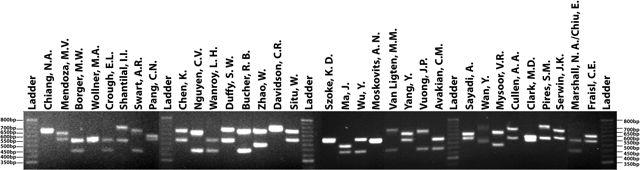 UCLA DNA Fingerprint Result