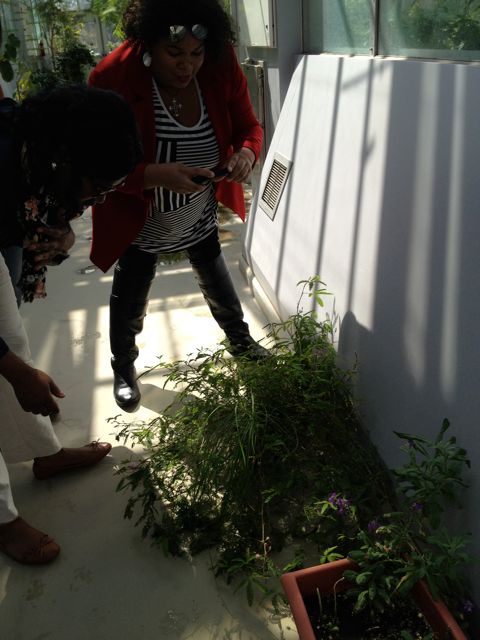 Lauren and Chaunte take a picture of their favorite plant.