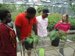 The students explore the greenhouse