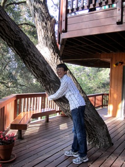 Allen is a tree hugger.