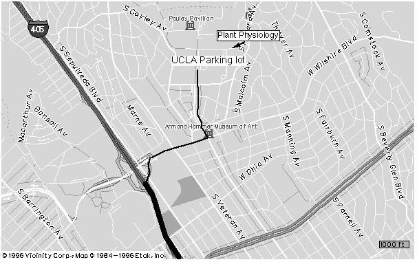 Map from 405 Freeway to UCLA.