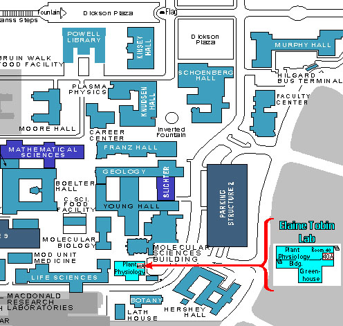 Map of Plant Physiology Building